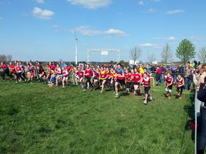 乐鱼体育app网址-青少年体育锻炼促进策略与实践，青少年体育锻炼方案