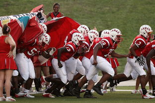 乐鱼体育官网下载-球迷助威声点燃比赛氛围，球迷助威口号